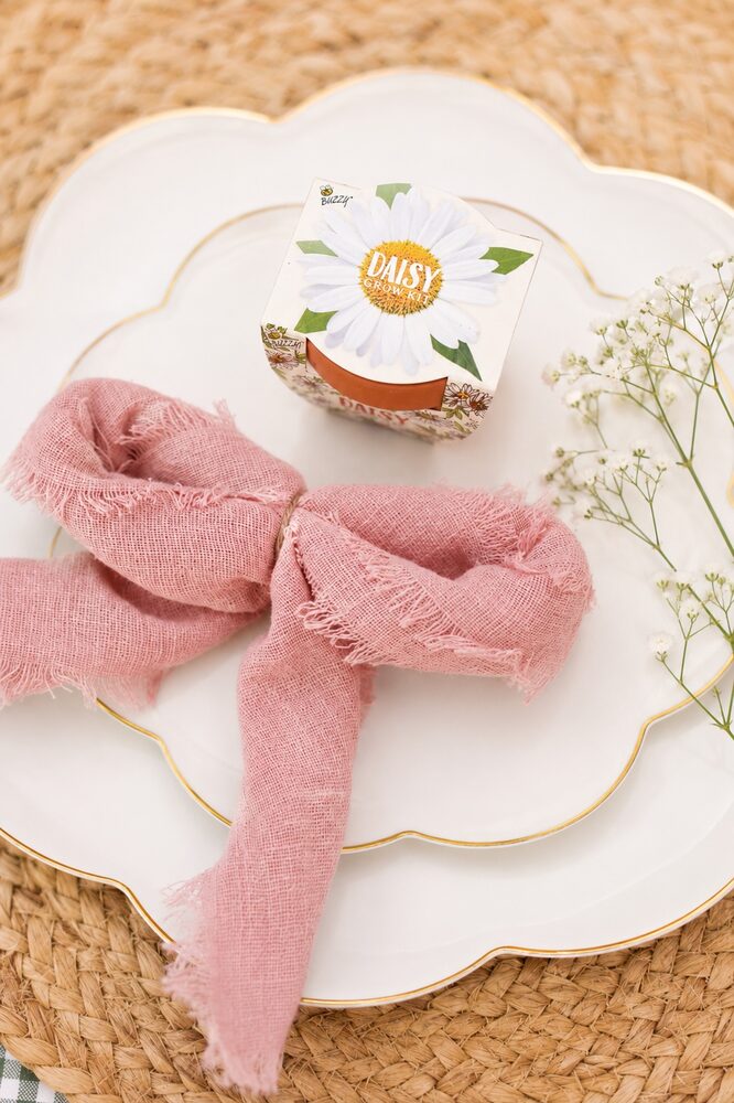 Place setting with blush napkin and daisy grow-kit favor